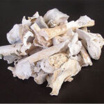 bone-ash